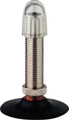 S SW -19F- Schrader 54-75-584-622