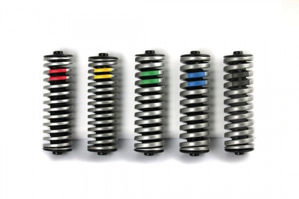 Feder f.G.2 LT Stand.80-105kg grün