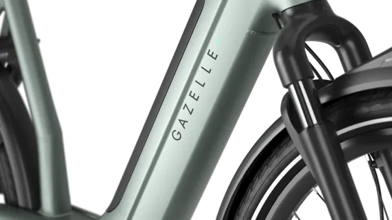 Gazelle Avignon C380+ grün | 800WH | E-Bike Damen City | 2026 | Enviolo Automatic