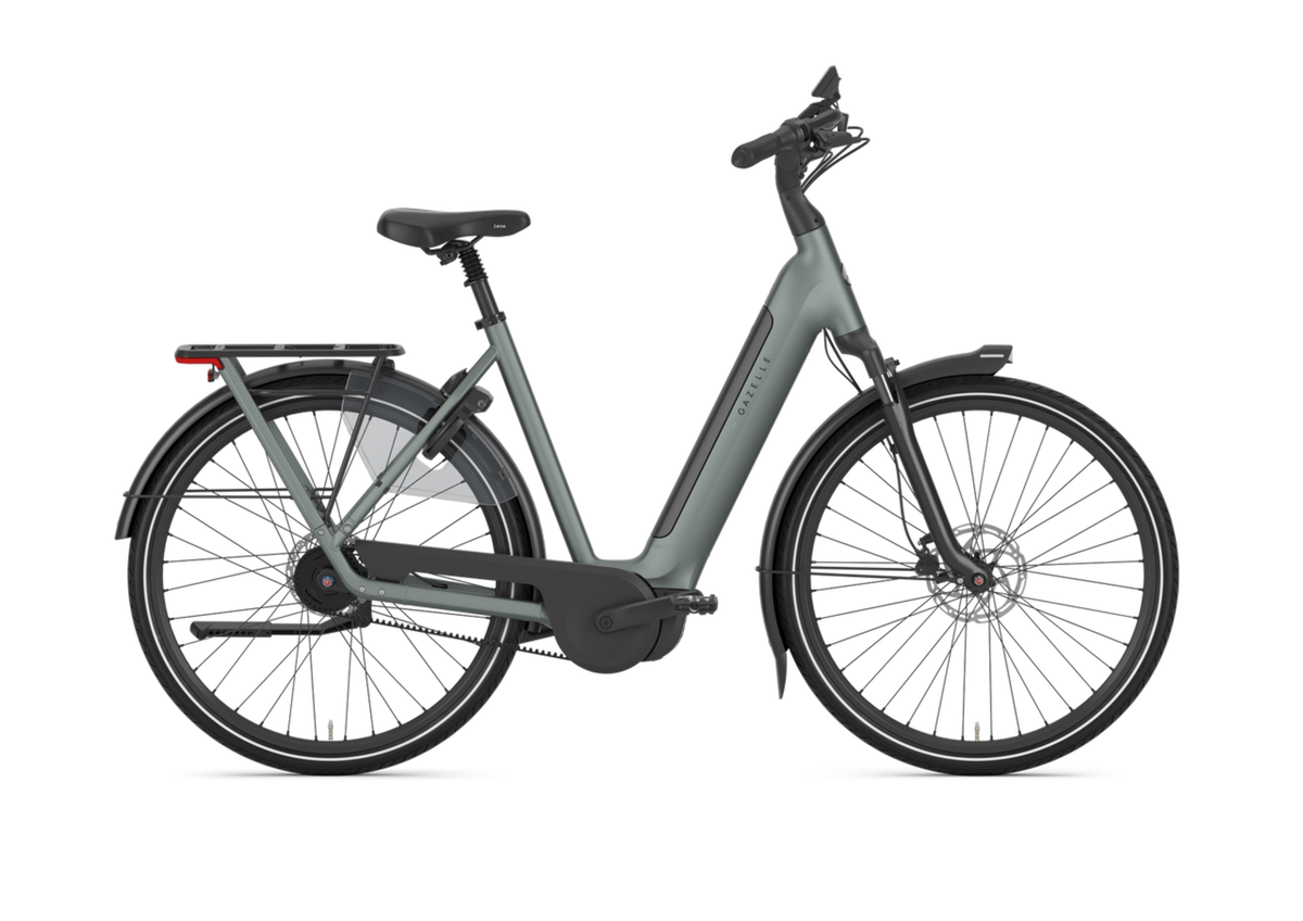 gazelle fahrrad restaurieren Arroyo C5+ Elite First Edition grün | 600WH Variante:4 Aufbewahrungsboxen + 140 Dosen Fahrradanlehnbügel 116,5 x 39 bike saddle