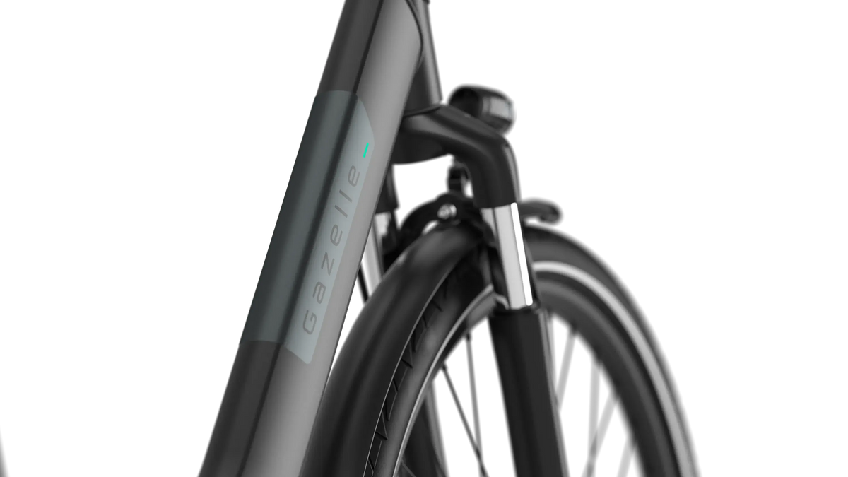 Gazelle Paris C8 schwarz | 500WH | E-Bike Herren City | 2025 | Rücktritt