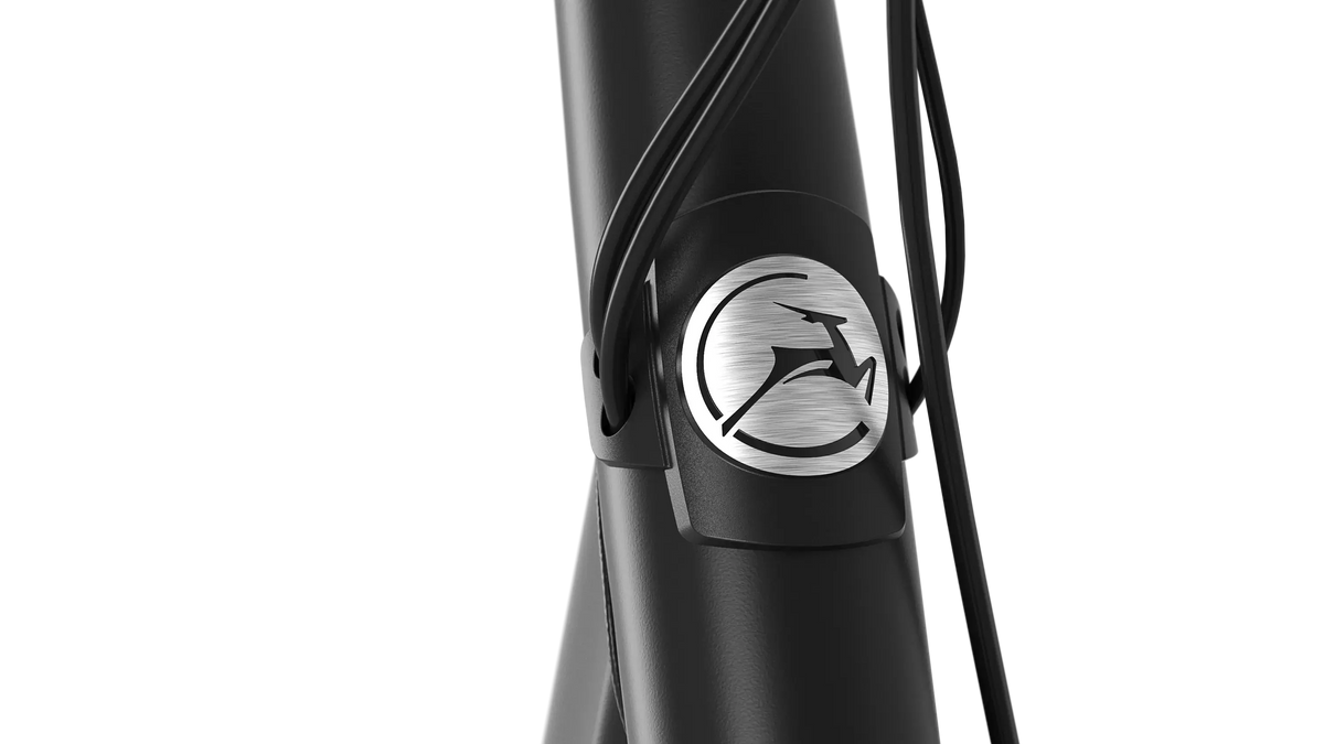 Gazelle Paris C8 schwarz | 500WH | E-Bike Herren City | 2025 | Rücktritt