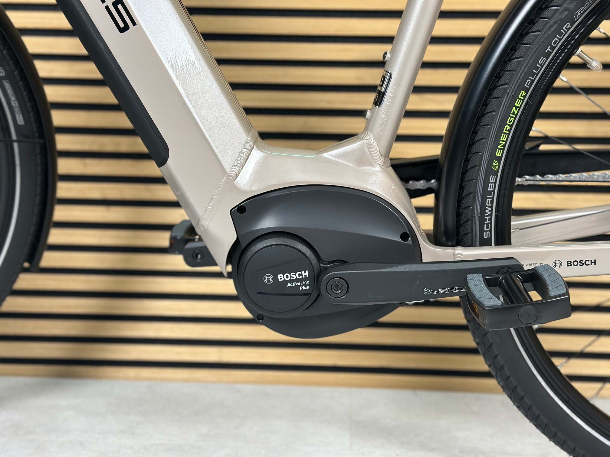 Hercules ROBERT/A I-R8 beige | 625WH | E-Bike Damen Trekking | 2025 | Rücktritt