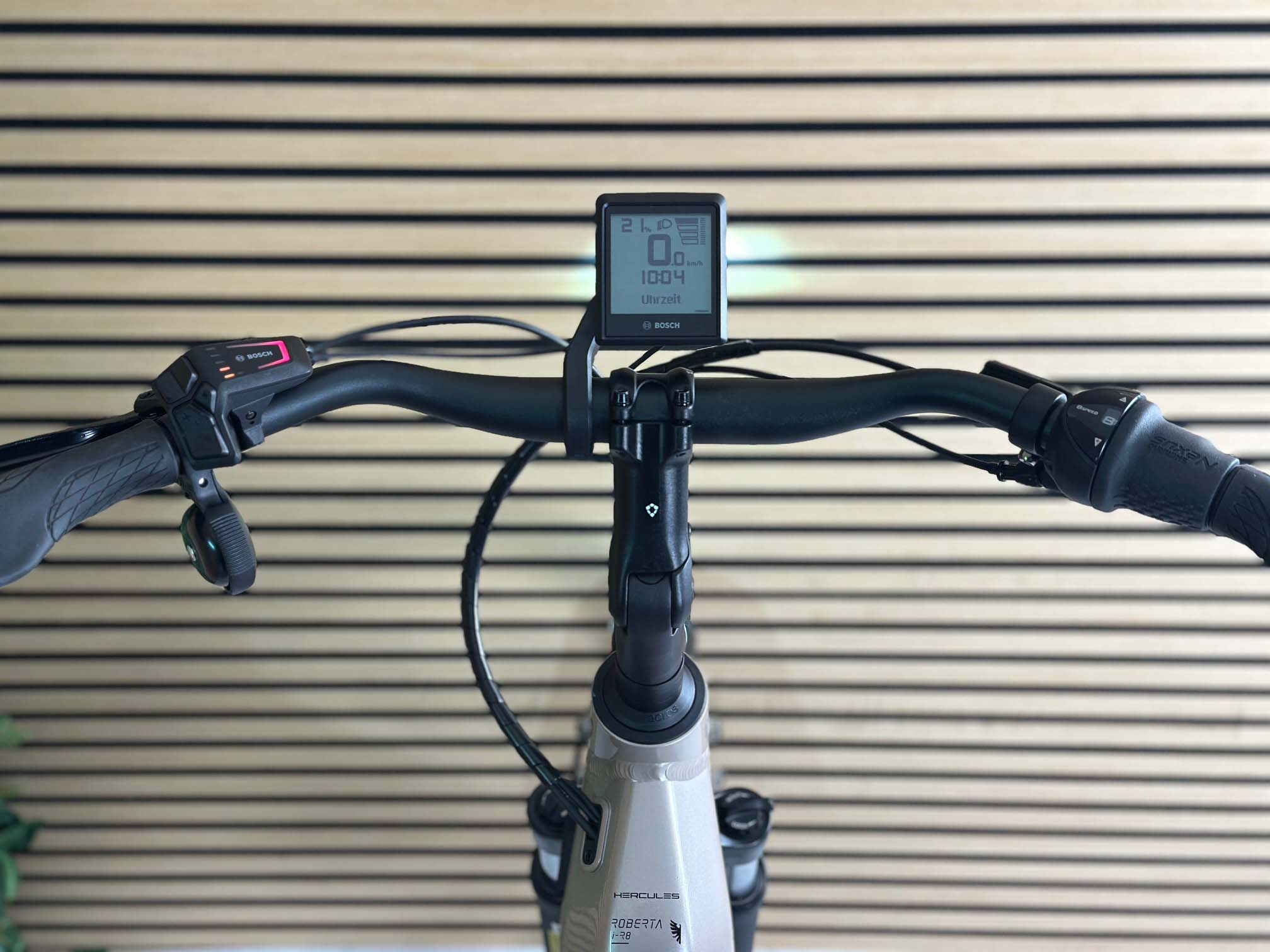 Hercules ROBERT/A I-R8 beige | 625WH | E-Bike Damen Trekking | 2025 | Rücktritt