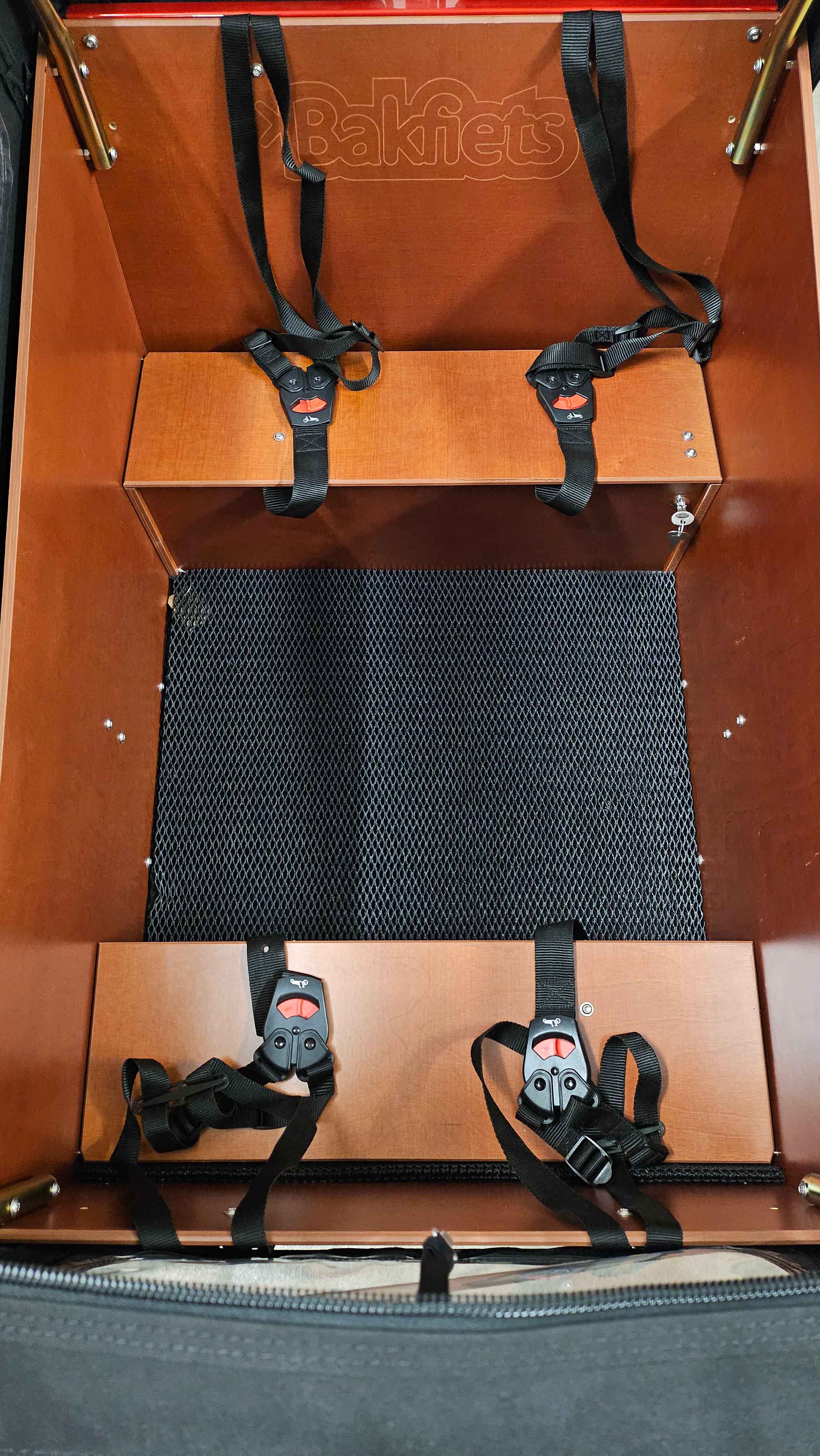 Bakfiets Trike Wide Cruiser Steps rot | 500WH | E-Lastenrad | 2024 | Freilauf