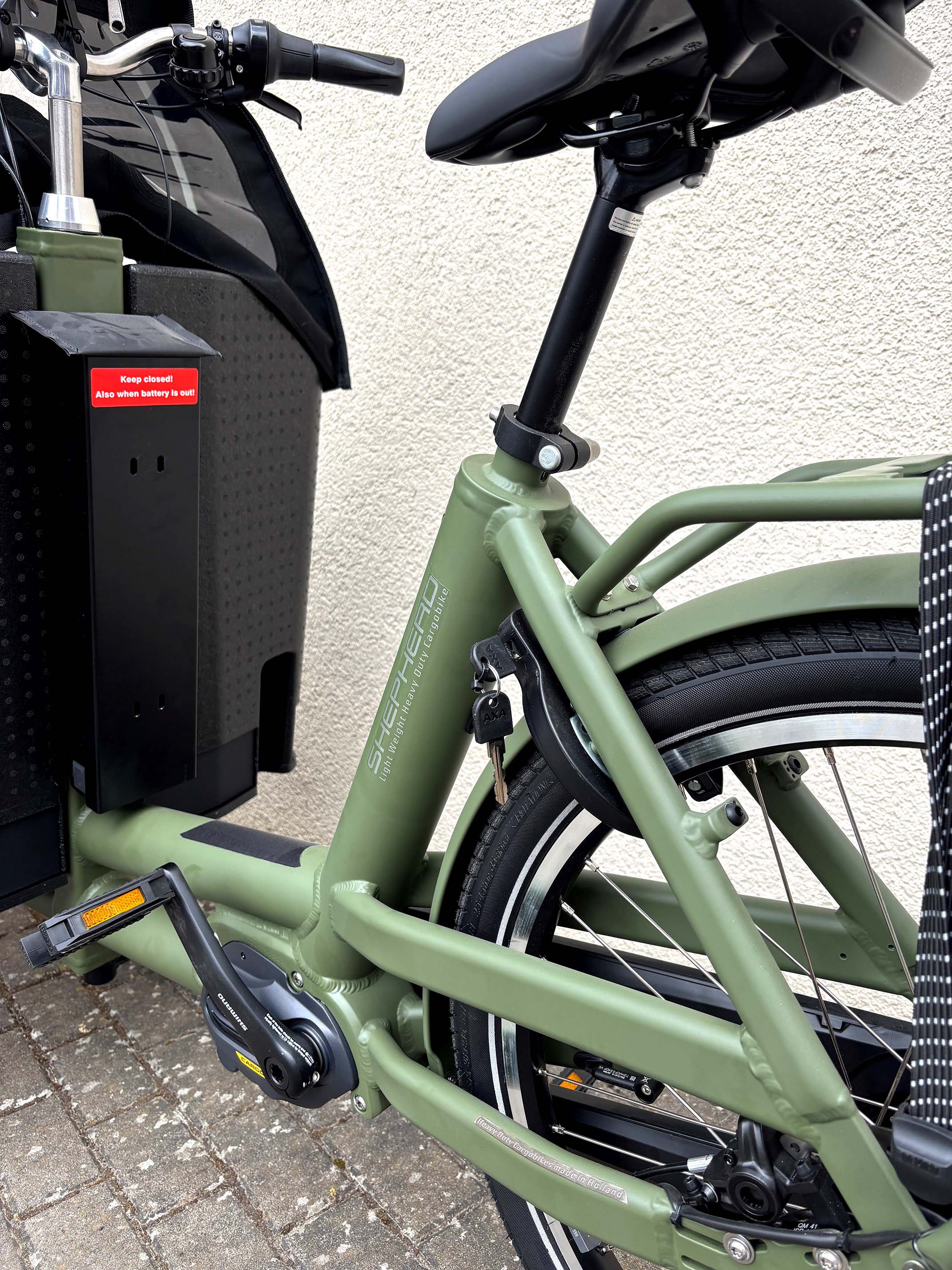 Bakfiets Cargo Shepherd Steps grün | 504WH | E-Lastenrad | 2024 | Freilauf
