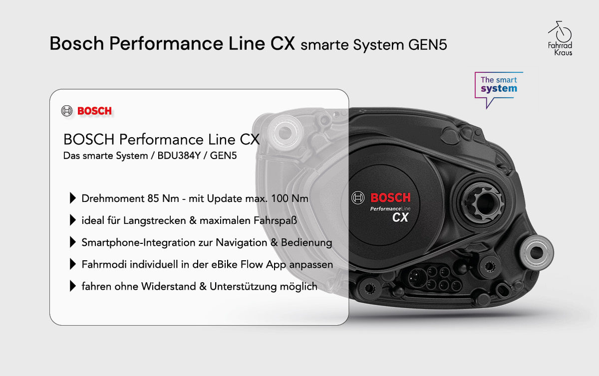 Pegasus PREMIO EVO 10 Lite schwarz | 800WH | E-Bike Herren Trekking | 2025 | Kettenschaltung