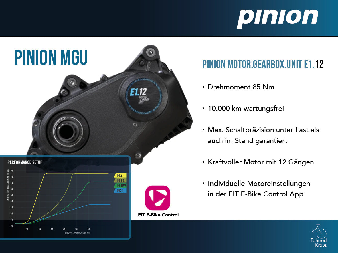 i:SY CARGO P12 ZR MAXI grün | 800WH | E-Lastenrad | 2025 | Getriebetechnik