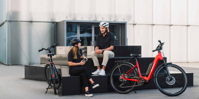 Simplon Rám Simplon E-Bikes bei Fahrrad Kraus