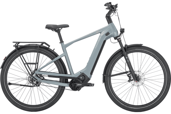 Pegasus ESTREMO EVO 12 LITE grau (hell)