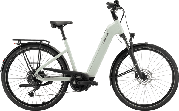 pegasus e bike damen grün Pegasus Solero EVO 10 grün (hell) | 800WH | E-Bike Damen Trekking