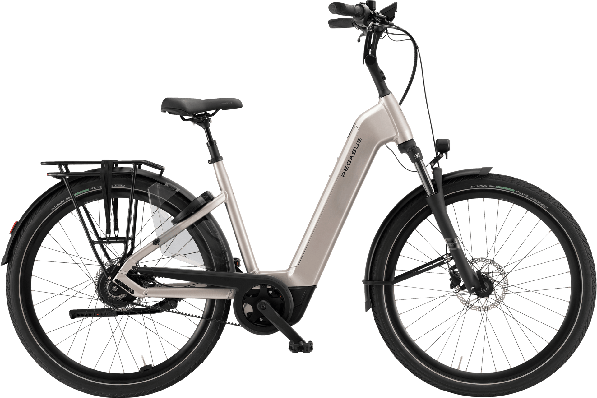 Pegasus RAVENNA EVO NV Belt silber | 800WH | E-Bike Damen Trekking