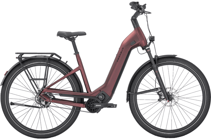 Pegasus ESTREMO EVO 12 Lite rot