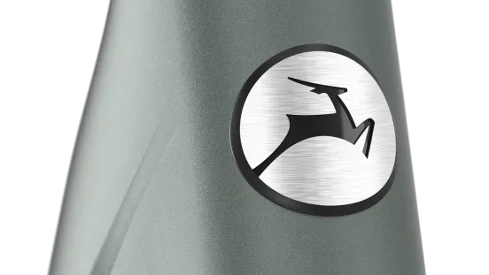 Gazelle Avignon C380+ grün | 800WH | E-Bike Damen City | 2026 | Enviolo Automatic