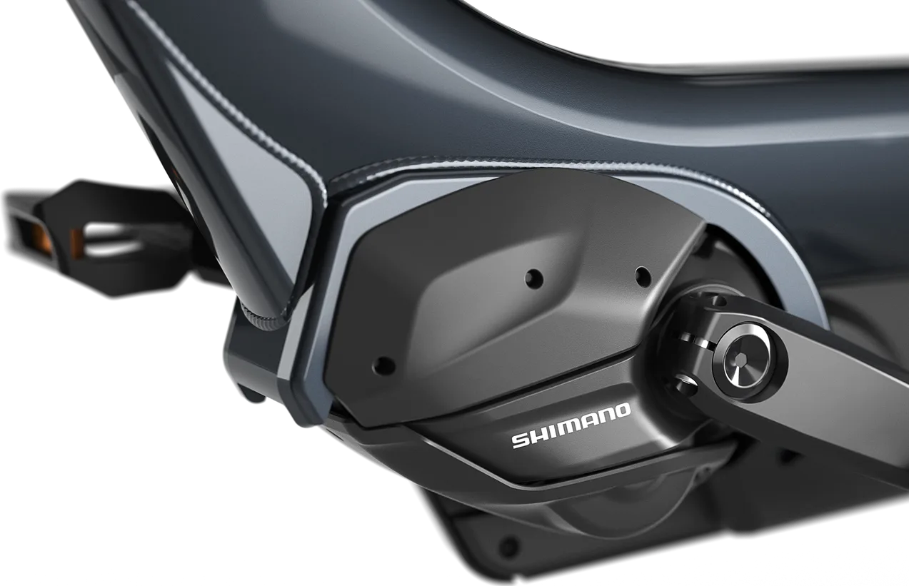 Gazelle Easyflow C8 anthrazit | 630WH | E-Bike Damen City | 2025 | Freilauf