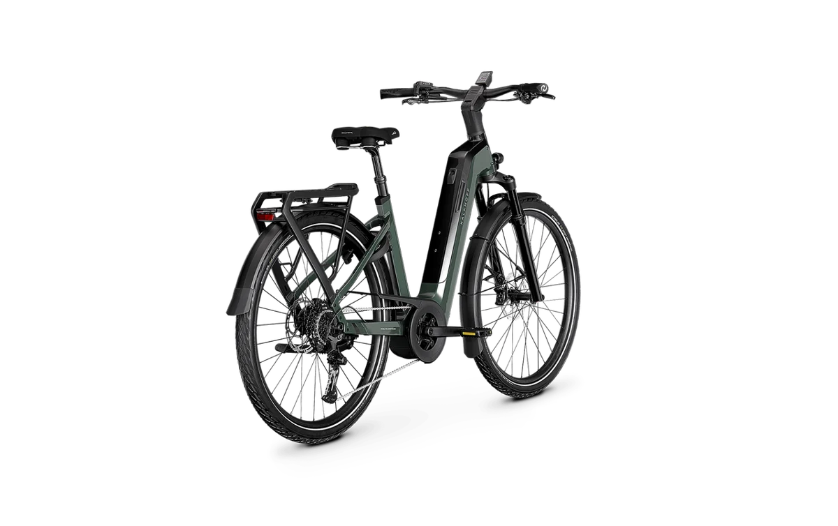 Kalkhoff ENDEAVOUR 5+ ADVANCE grün | 800WH | E-Bike Damen Trekking | 2026 | Kettenschaltung