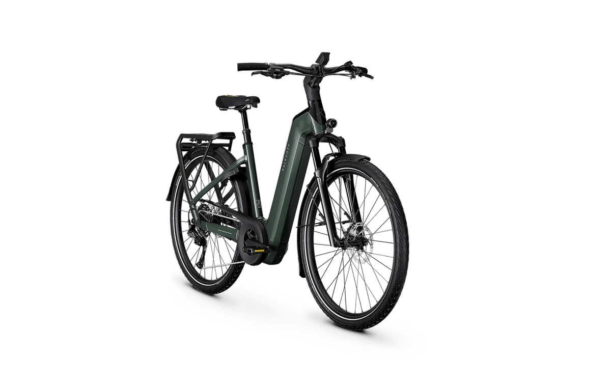 Kalkhoff ENDEAVOUR 5+ ADVANCE grün | 800WH | E-Bike Damen Trekking | 2026 | Kettenschaltung