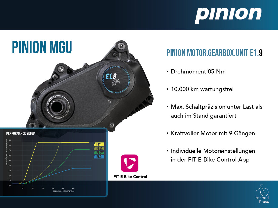 Winora Sinus AS grau | 800WH | E-Bike Damen City | 2026 | Getriebetechnik